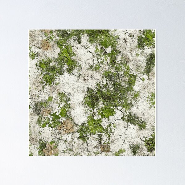 Item preview, Textured surface with green moss and cracks designed and sold by brandway.