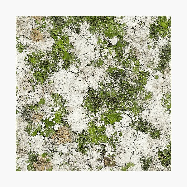 Item preview, Textured surface with green moss and cracks designed and sold by brandway.