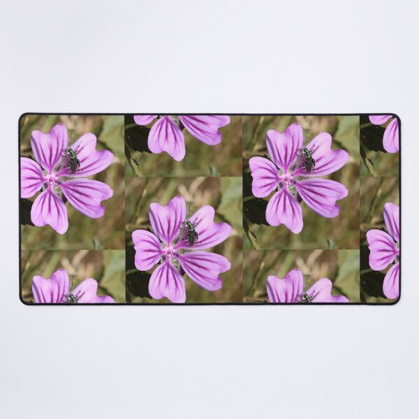 Item preview, Common Mallow designed and sold by pinkal.