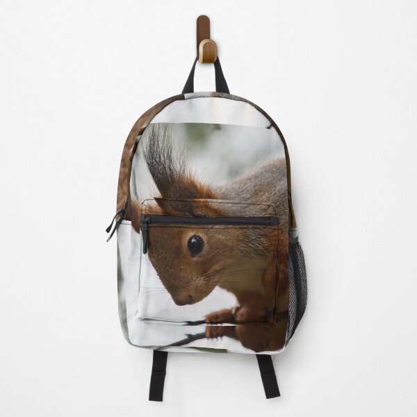 Item preview, Hu huu. Red squirrel designed and sold by Jouko Lehto Photography.