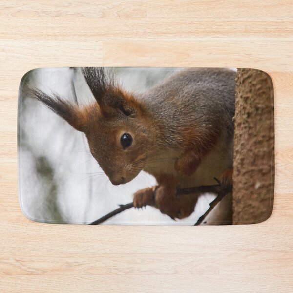 Item preview, Hu huu. Red squirrel designed and sold by Jouko Lehto Photography.