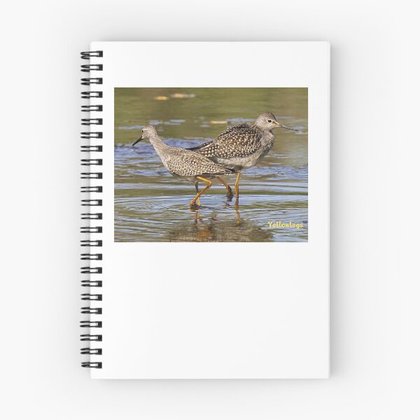 Item preview, Yellowlegs- wading bird designed and sold by Qzmet.