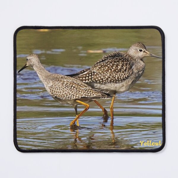 Item preview, Yellowlegs- wading bird designed and sold by Qzmet.