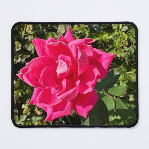 Item preview, Flor rosa designed and sold by Matthew Dodd.