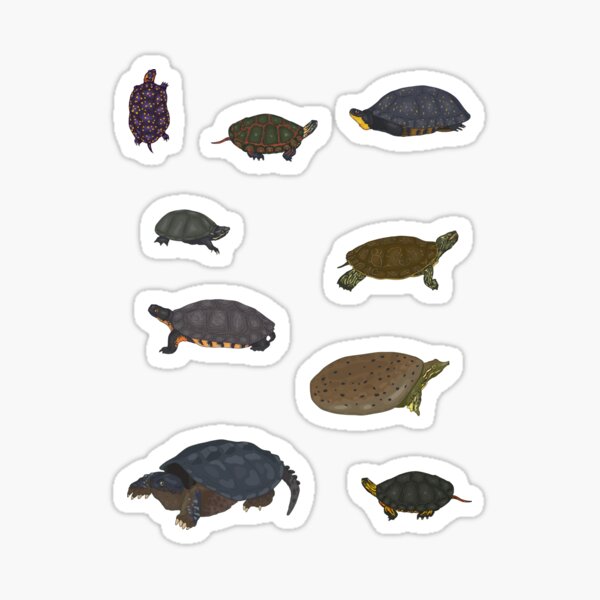 Item preview, Turtles of Ontario Sticker Pack  designed and sold by Lily Hamilton.