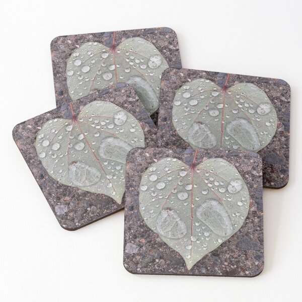 Item preview, Rain Drops on Fallen Heart Shaped Leaf designed and sold by peaches23.