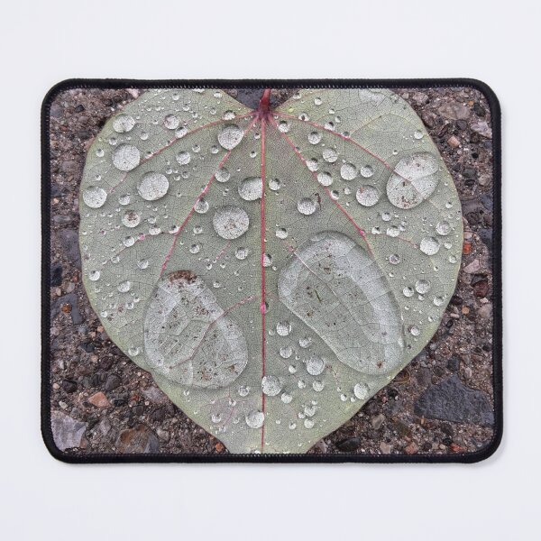 Item preview, Rain Drops on Fallen Heart Shaped Leaf designed and sold by peaches23.