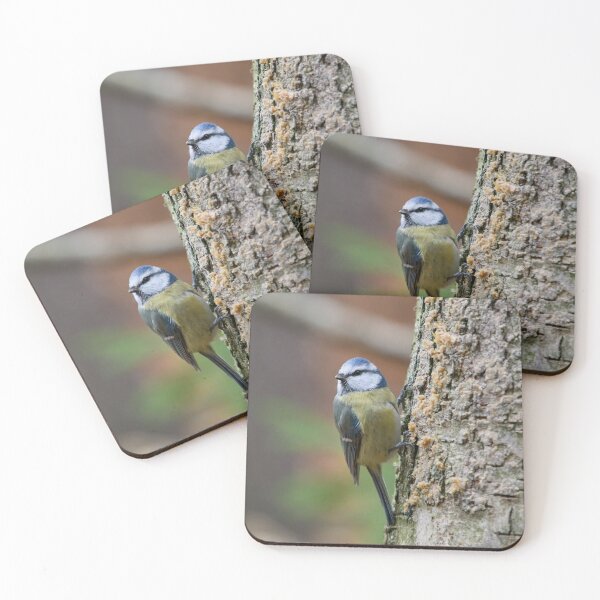 Item preview, Centered. Eurasian blue tit designed and sold by Jouko Lehto Photography.