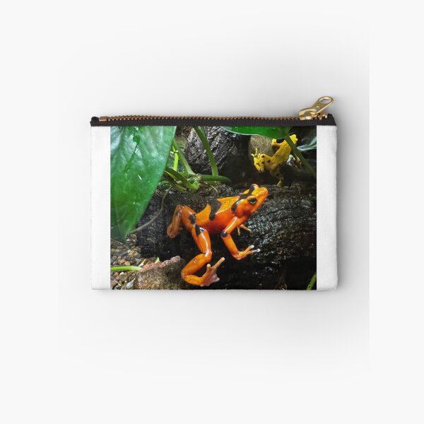 Item preview, Orange Tree Frog in Costa Rican Rain Forest designed and sold by peaches23.