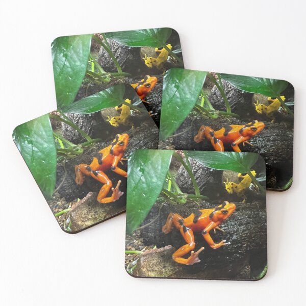 Item preview, Orange Tree Frog in Costa Rican Rain Forest designed and sold by peaches23.