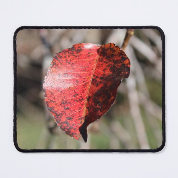 Item preview, Red leaf  designed and sold by McFleur's Lens.