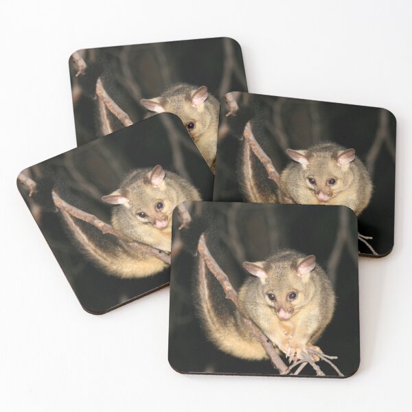 Item preview, © Australian brushtail possum designed and sold by GeoPipics.