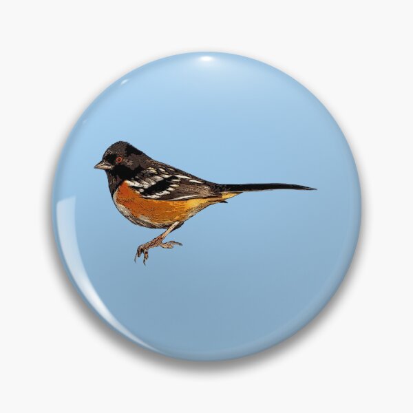 Artikelvorschau, Farbdesign des Spotted Towhee entworfen und verkauft von designsasstultd.