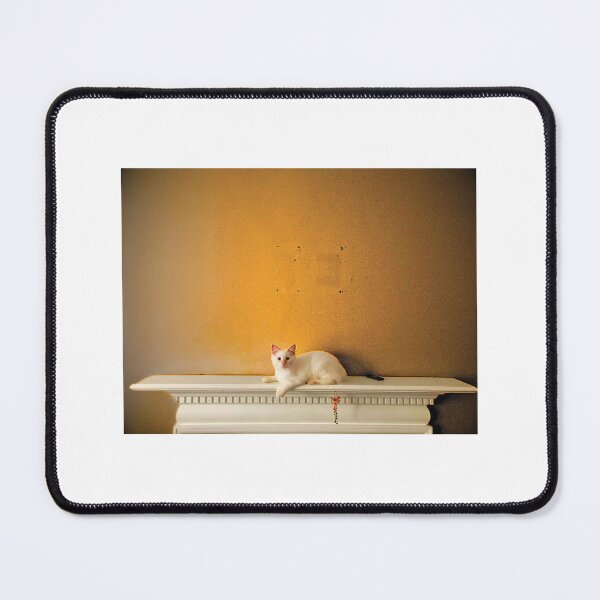 Item preview, Finley Fireplace designed and sold by Finley2024.