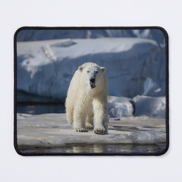 Item preview, The Arctic Jest designed and sold by HillFlickStudio.