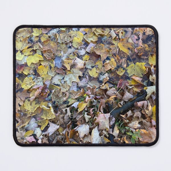 Item preview, Leafy Pond designed and sold by CJRPics.