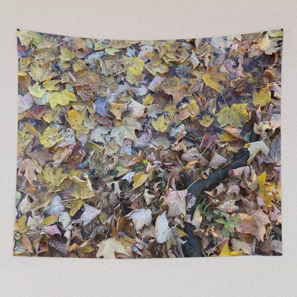Item preview, Leafy Pond designed and sold by CJRPics.
