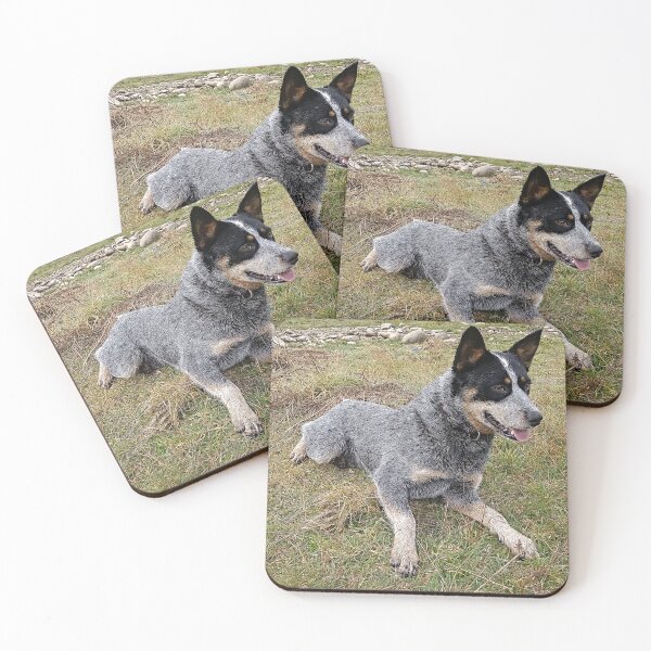 Item preview, dls balto designed and sold by pcfyi.