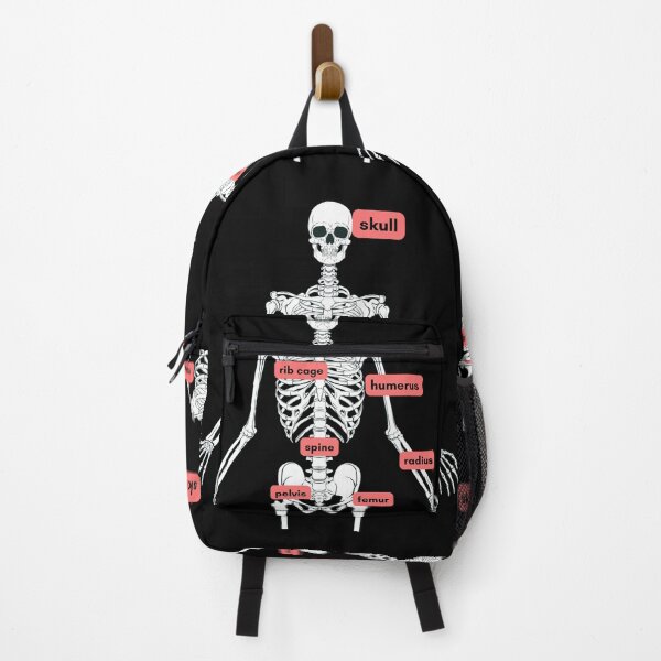 Item preview, Skull Osteology for the skeletal system biological anthropology  designed and sold by Adventure paradise ⭐⭐⭐⭐⭐.
