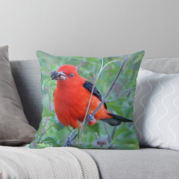 Item preview, Got Berry? designed and sold by SuddenJim.