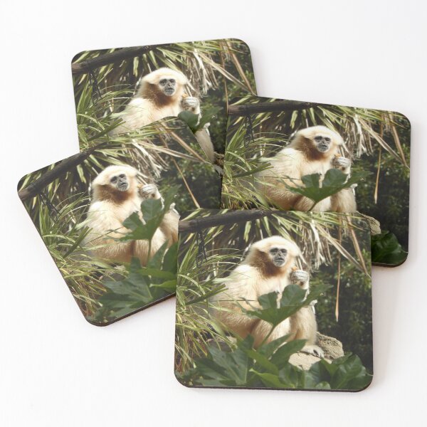 Item preview, White Handed Gibbon 001 designed and sold by pasta26mc.