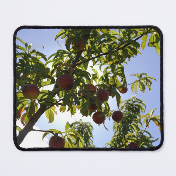 Item preview, yummy peaches on a tree designed and sold by aligata1970.