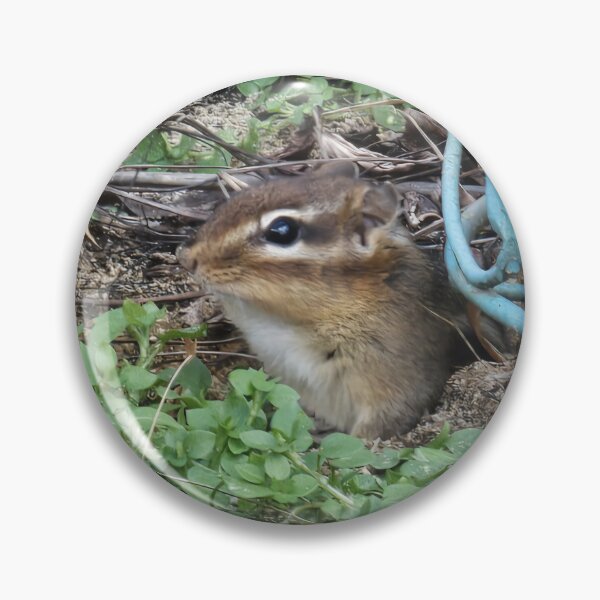 Item preview, Chippy My Backyard Chipmunk designed and sold by Twittlefish.