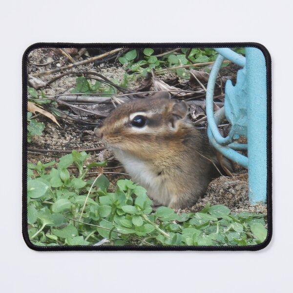 Item preview, Chippy My Backyard Chipmunk designed and sold by Twittlefish.