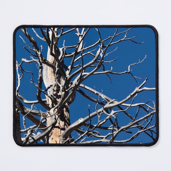 Item preview, Strength & Beauty of a Weather Tree designed and sold by Betsy Phillips.