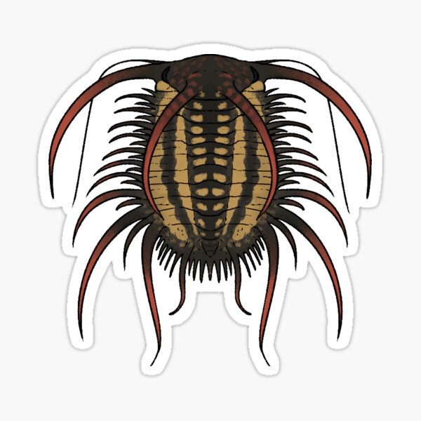 Item preview, Boedaspis designed and sold by ddinodan.
