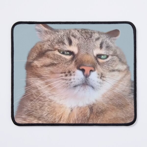 Item preview, Ukrainian Stepan cat Meme designed and sold by Prime_Store.