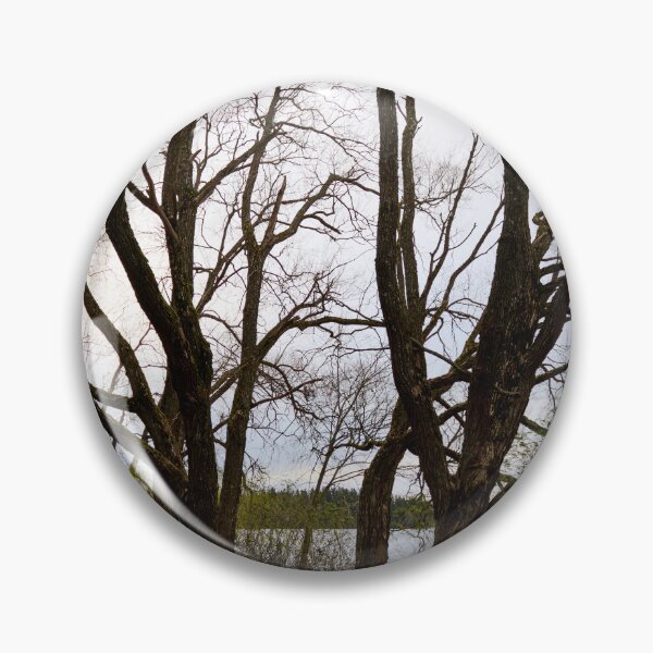 Artikelvorschau, Dunkle Stämme. Ende November im Arboretum entworfen und verkauft von Jouko Lehto Photography.