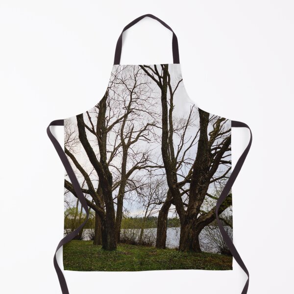 Item preview, Dark trunks. Late November at Arboretum designed and sold by Jouko Lehto Photography.