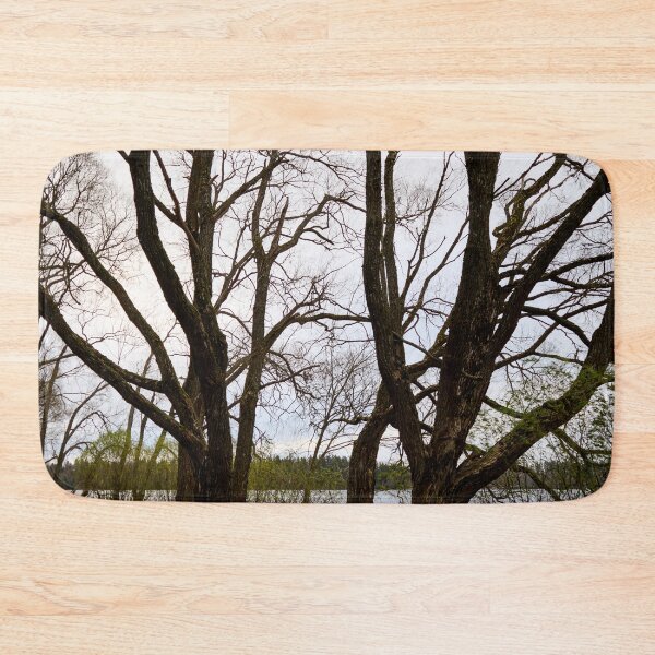 Item preview, Dark trunks. Late November at Arboretum designed and sold by Jouko Lehto Photography.
