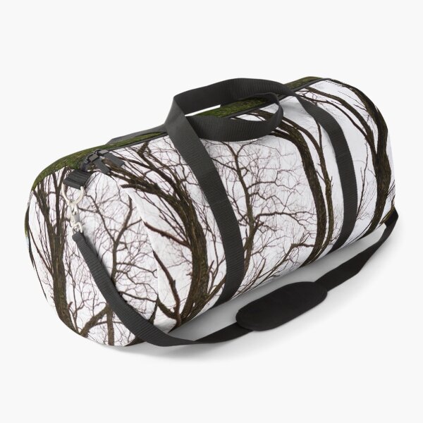 Item preview, Dark trunks. Late November at Arboretum designed and sold by Jouko Lehto Photography.