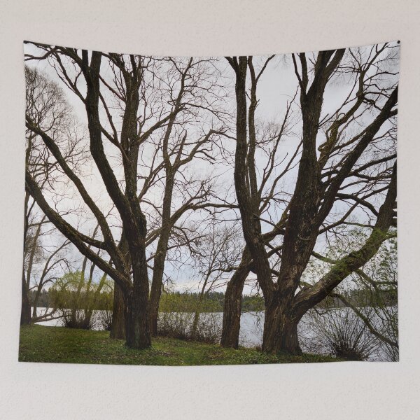 Item preview, Dark trunks. Late November at Arboretum designed and sold by Jouko Lehto Photography.