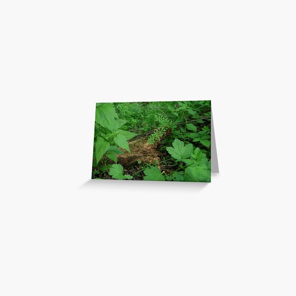 Step Lively Greeting Card