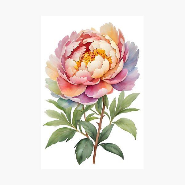 Item preview, Rainbow Peony designed and sold by HOMETOWN86.