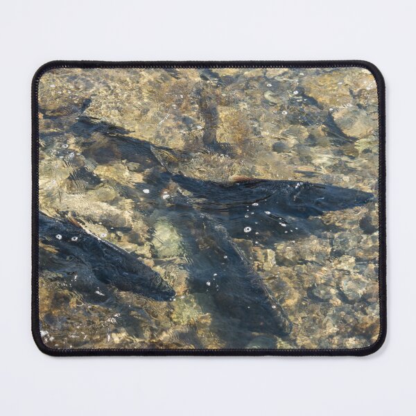 Item preview, Wild Salmon Spawning Run designed and sold by Georgia Mizuleva.