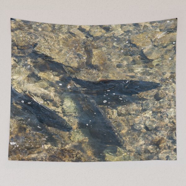 Item preview, Wild Salmon Spawning Run designed and sold by Georgia Mizuleva.