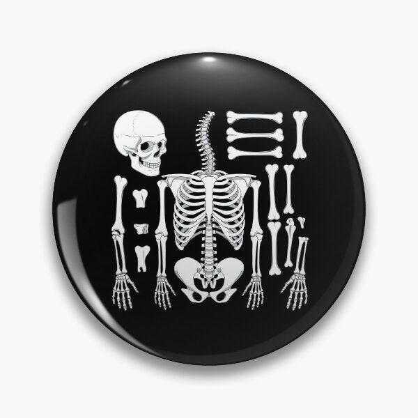 Item preview, Osteology Human Skeletal designed and sold by Zikozaki.