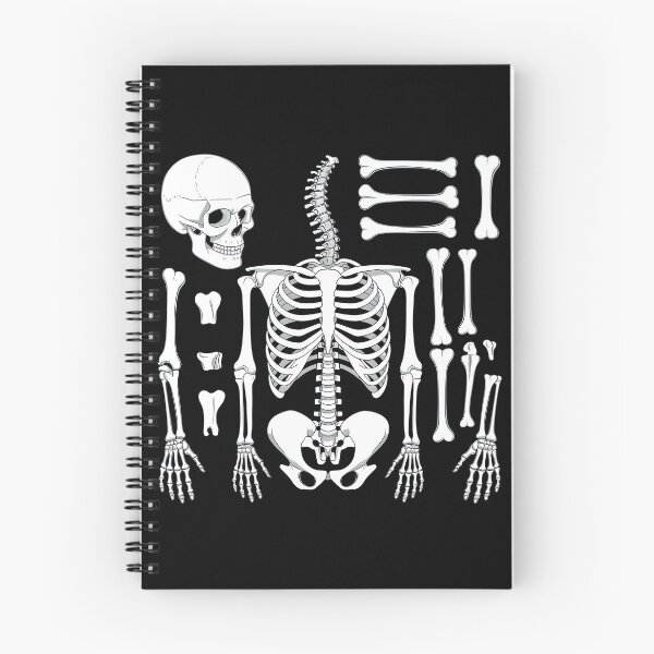Item preview, Osteology Human Skeletal designed and sold by Zikozaki.
