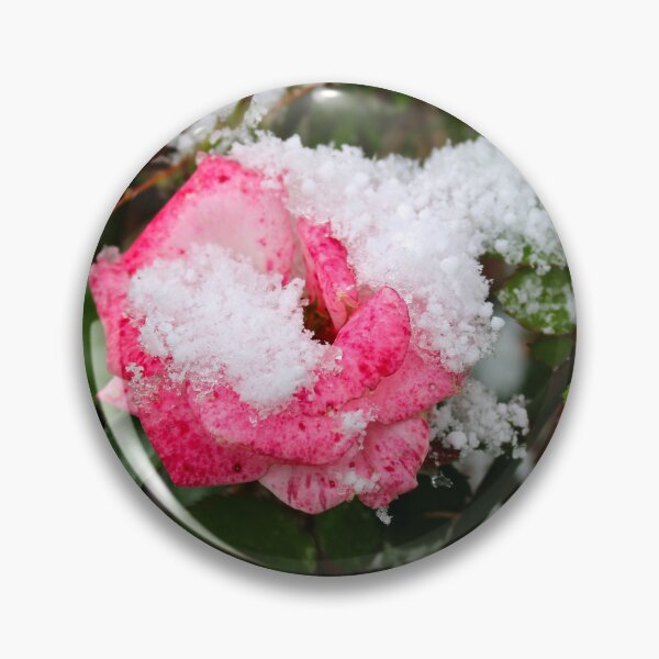 Item preview, Snowy rose  designed and sold by McFleur's Lens.