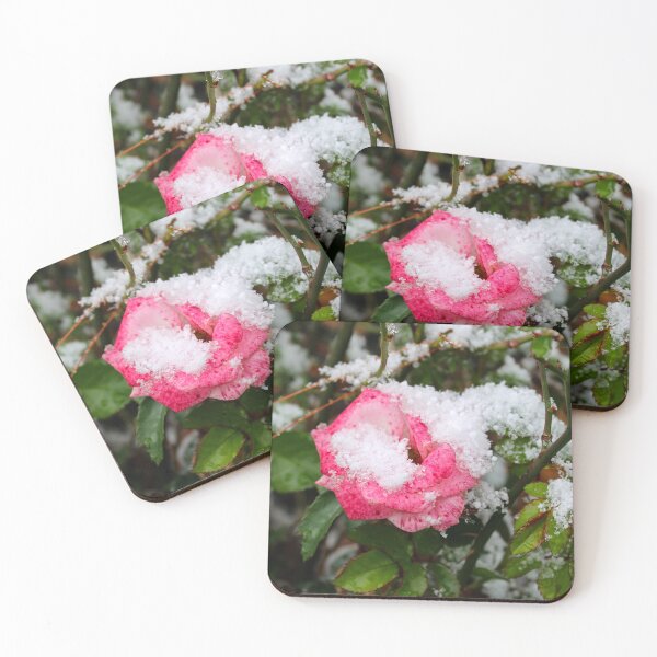 Item preview, Snowy rose  designed and sold by McFleur's Lens.