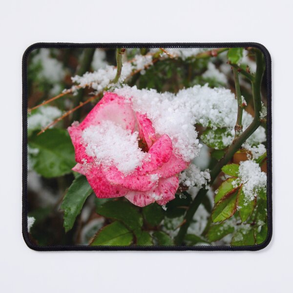 Item preview, Snowy rose  designed and sold by McFleur's Lens.