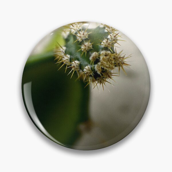 Item preview, Cactus Spines designed and sold by MercerImages.