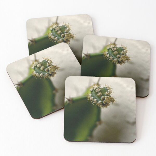Item preview, Cactus Spines designed and sold by MercerImages.