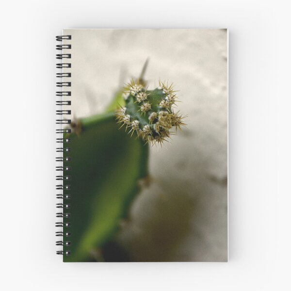 Item preview, Cactus Spines designed and sold by MercerImages.