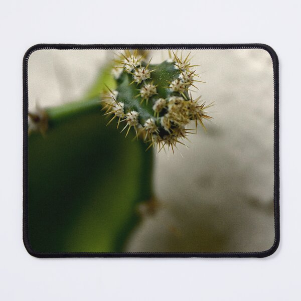 Item preview, Cactus Spines designed and sold by MercerImages.