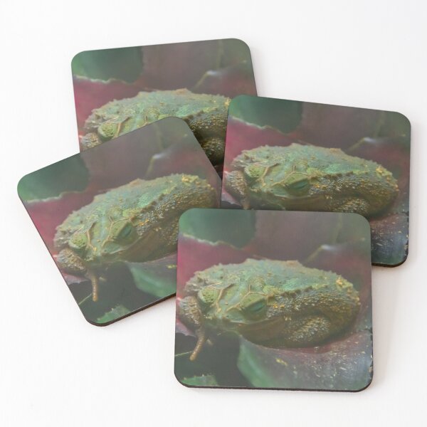 Item preview, A green frog is nestled comfortably in the center of a plant with dark red and green leaves designed and sold by EyezWatchin.